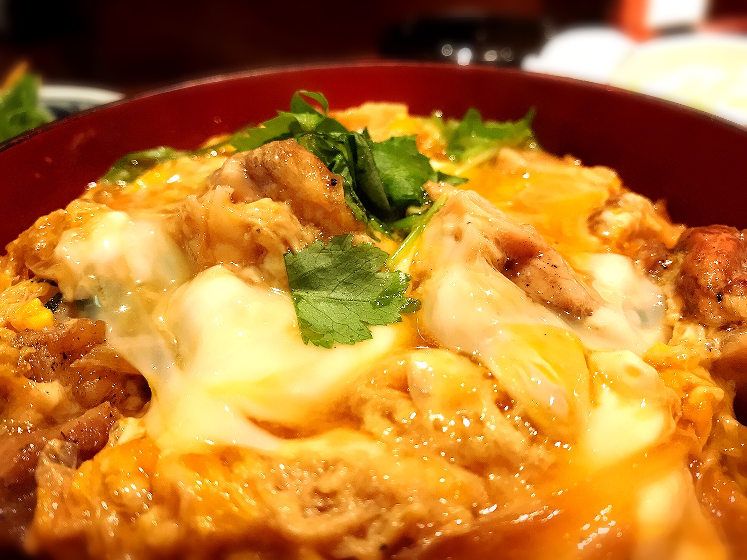 変わった親子丼として紹介された店はどこ?ふわふわ・トロトロ進化系おやこ丼を紹介【マツコの知らない世界】 きになる